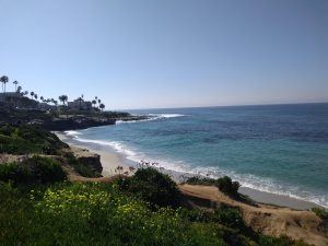 beach at La Jolla, CA