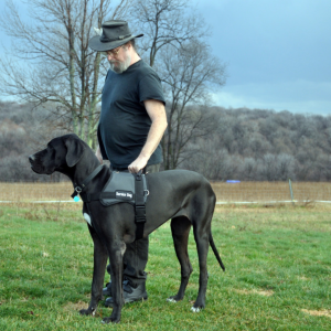 Man with a large dog