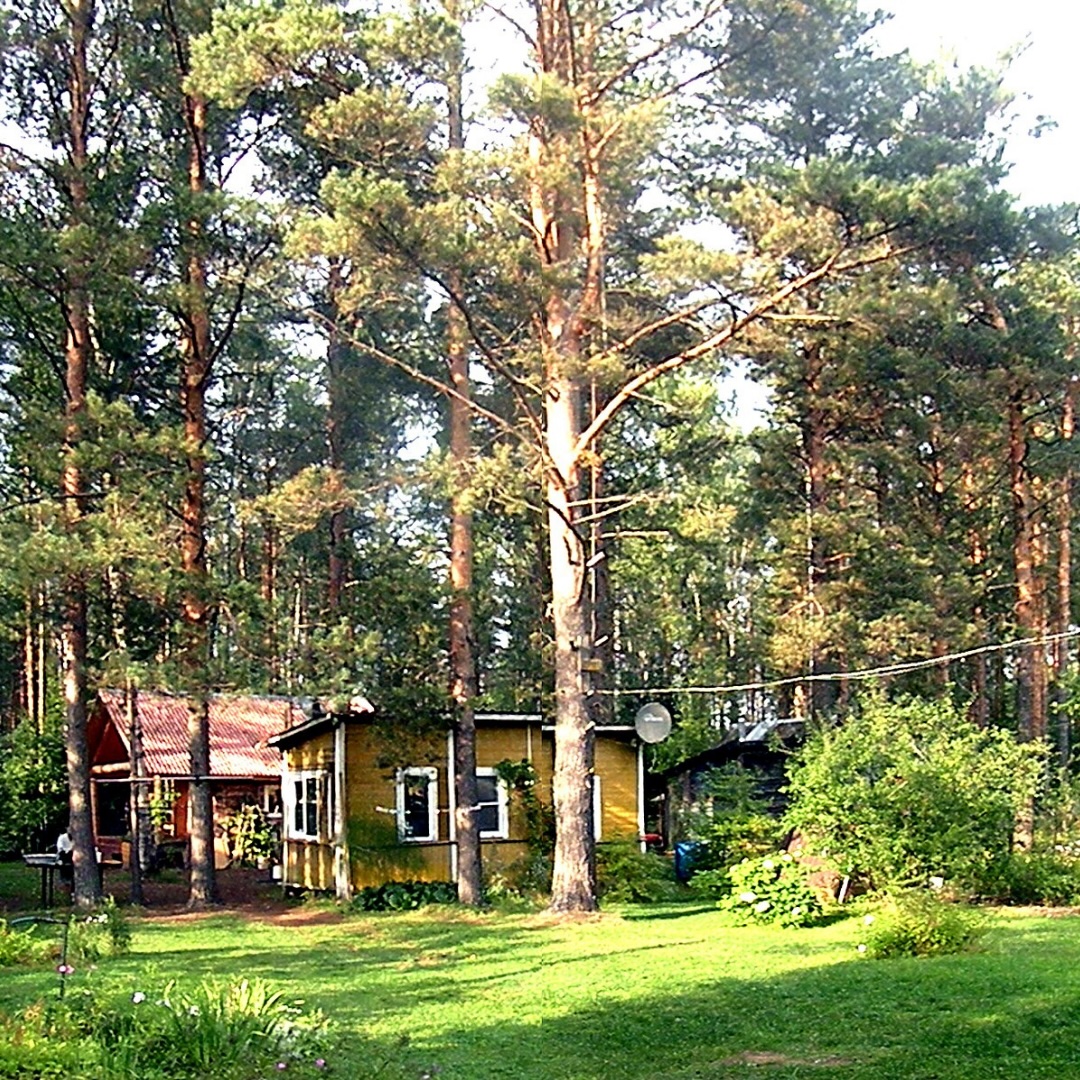 Dacha in forest