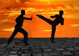 2 figures doing martial arts
