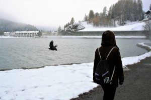 Winter walk