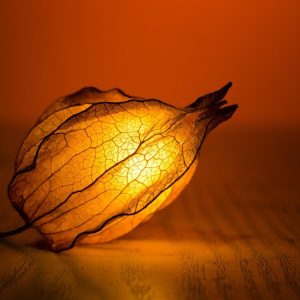 lamp