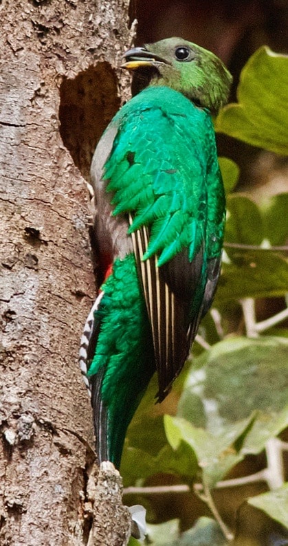 Image2.3.36