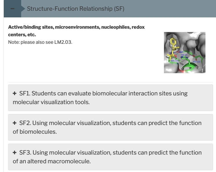 Example learning goals for the active/ binding sites, microenvironments, nucleophiles, redox centers, etc. theme. These include: SF1: Students can evaluate biomolecular interaction sites using molecular visualization tools. SF2: Using molecular visualization, students can predict the function of biomolecules. SF3: Using molecular visualization, students can predict the function of an altered macromolecule.