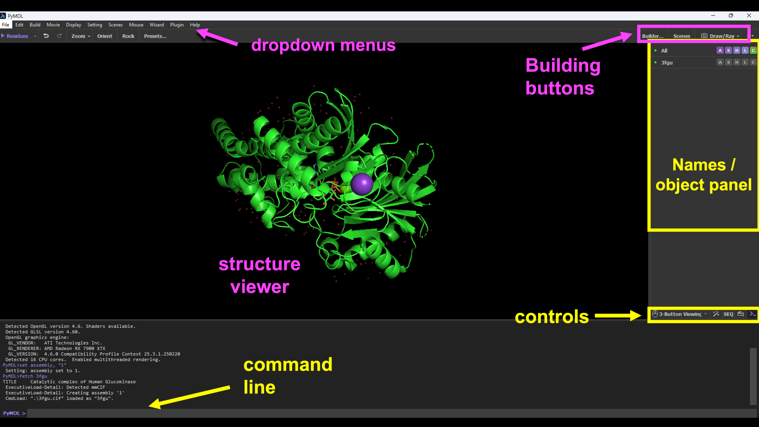 PyMOL interface on a computer screen, showcasing various plant parts and emphasizing different menus and buttons. Labeled components include: dropdown menu, structure viewer, command line, building buttons, names/ object panel, controls.