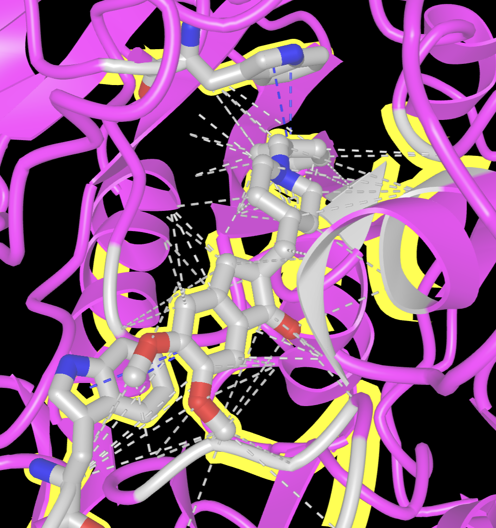Rendering showing the protein as a magenta ribbon and aricept and the residues it interacts with in sticks with cpk coloring and gray carbons. The automatically displayed interactions are shown with gray dashed lines representing interactions.