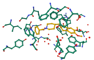 Rendering of active site with aricept shown in cpk coloring with yellow carbons, residues within 5 angstroms of aricept shown in cpk coloring with teal carbons, and waters shown as red spheres.