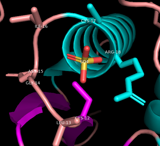 Rendering of a protein structure highlighting residues near the sulfate ion at the center of the image.