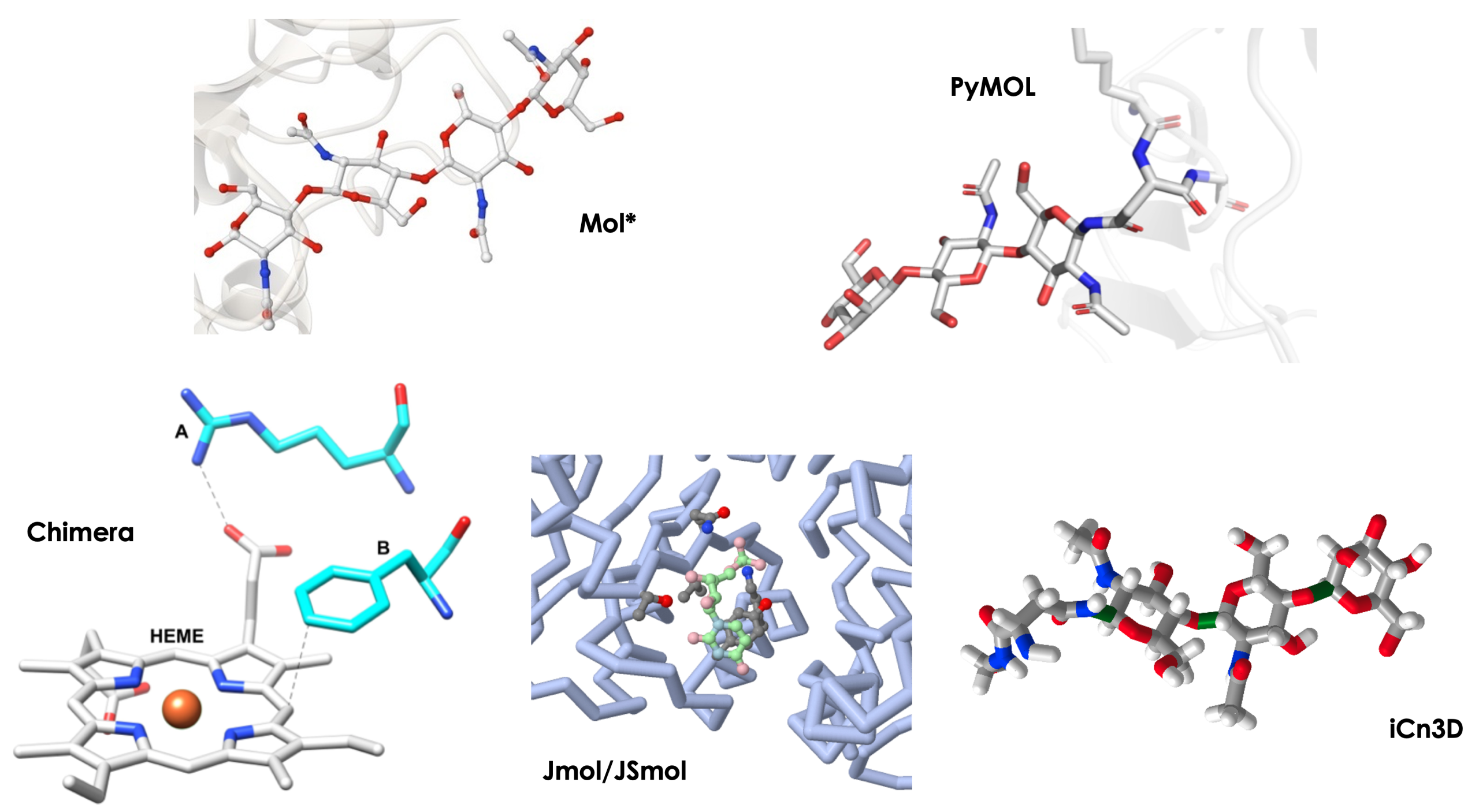 Images of molecules shown in ball and stick bound to proteins shown in ribbon, sticks or ball and stick for Mol*, PyMOL, Chimer, Jmol and iCn3D.
