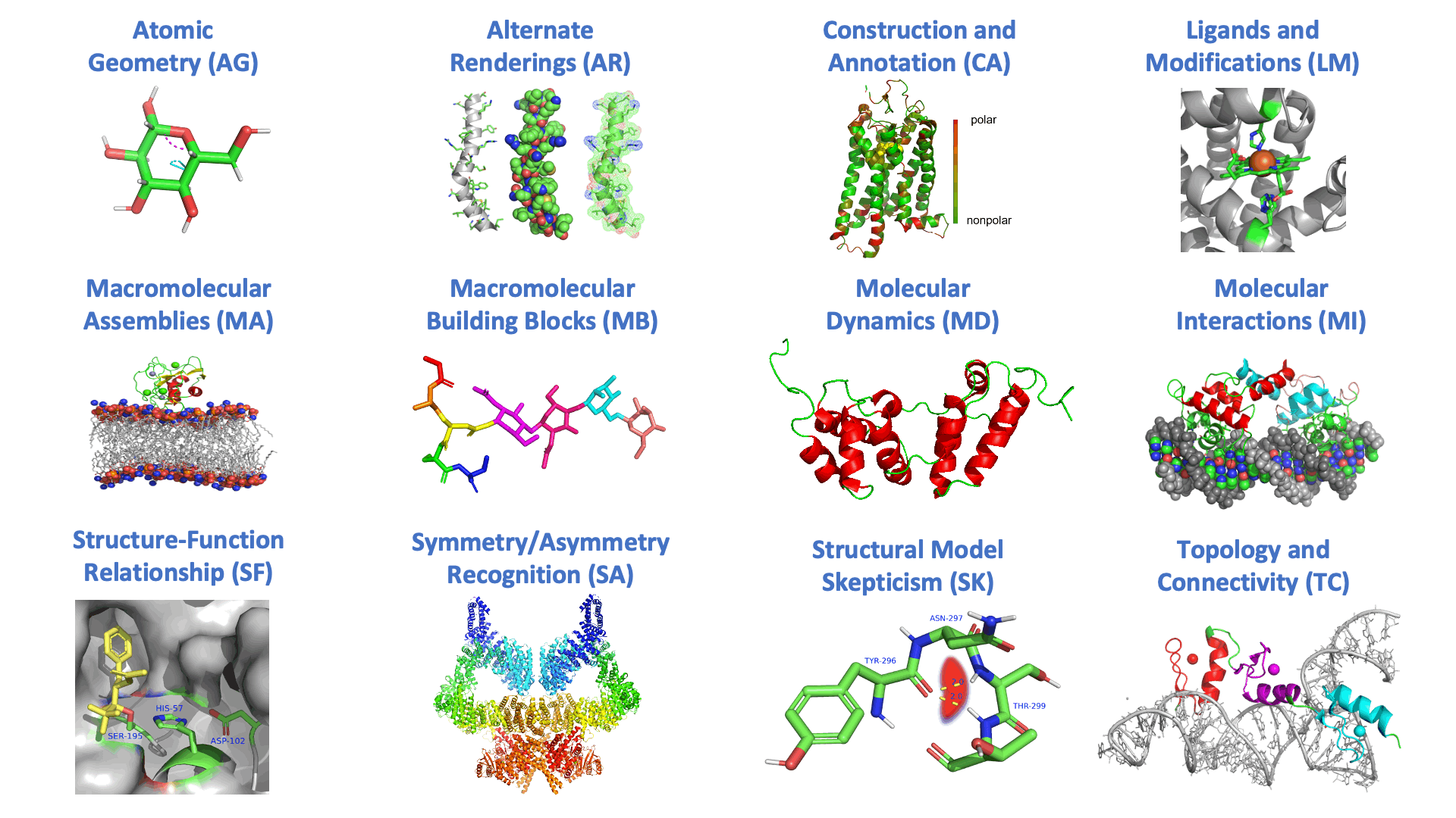Structural representations of the twelve broad topics in the BioMolViz framework: 1) Atomic geometry (AG), 2) Alternative rendering (AR), 3) Construction and annotation (CA), 4) ligands and modifications, 5) macromolecular assembly (MA), 6) Macromolecular building blocks (MB), 7) Molecular dynamics (MD), 8) Molecular interactions (MI), 9) Structure-function relationship (SF), 10) Symmetry/ asymmetry recognition (SA), 11) structural model skepticism (SK), 12) Topology and Connectivity (TC).