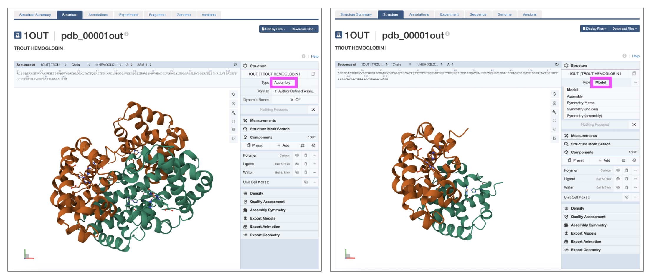 Two screens display molecular structures: a Biological Assembly on the left showing two copies of the asymmetric unit and an Asymmetric Unit on the right.