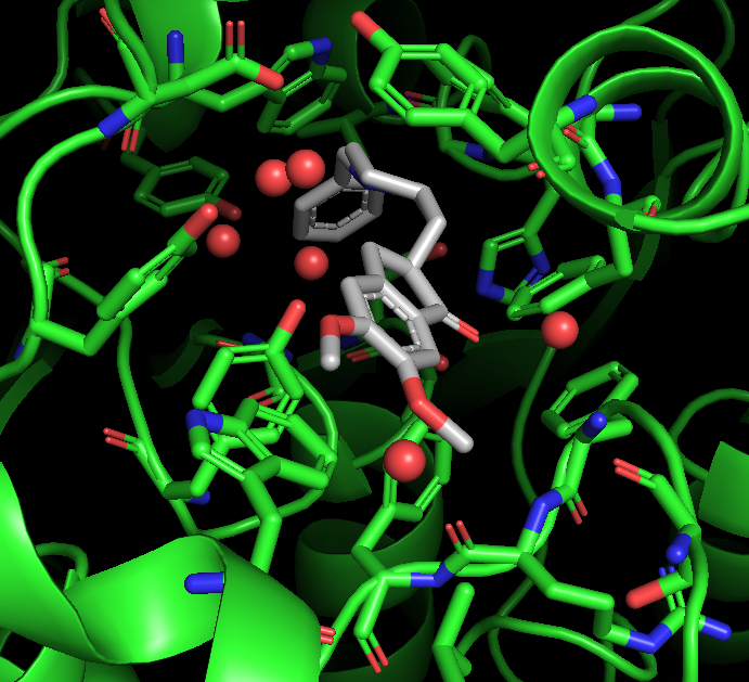 Rendering of a protein (green cartoon) with the ligand (cpk coloring with grey carbons) in the center of the figure and active site waters represented by red spheres.