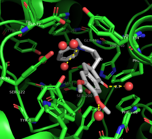 Rendering of a protein (green cartoon) with the ligand (cpk coloring with grey carbons) in the center of the figure with dashed yellow lines representing hydrogen bonds to active site water molecules (red spheres).