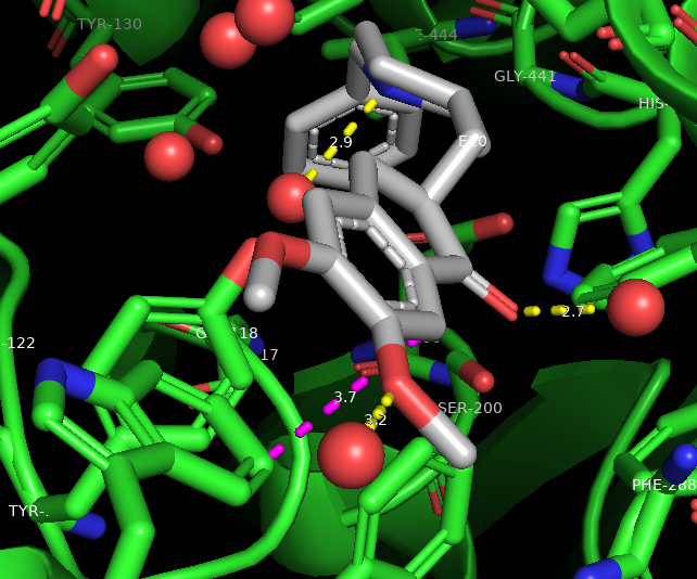 Rendering of a protein (green cartoon) with the ligand (cpk coloring with grey carbons) in the center of the figure with dashed yellow lines representing hydrogen bonds to active site water molecules (red spheres) and magenta dashed line representing van der Waals interaction between Aricept (gray) and W-279 (green sticks).