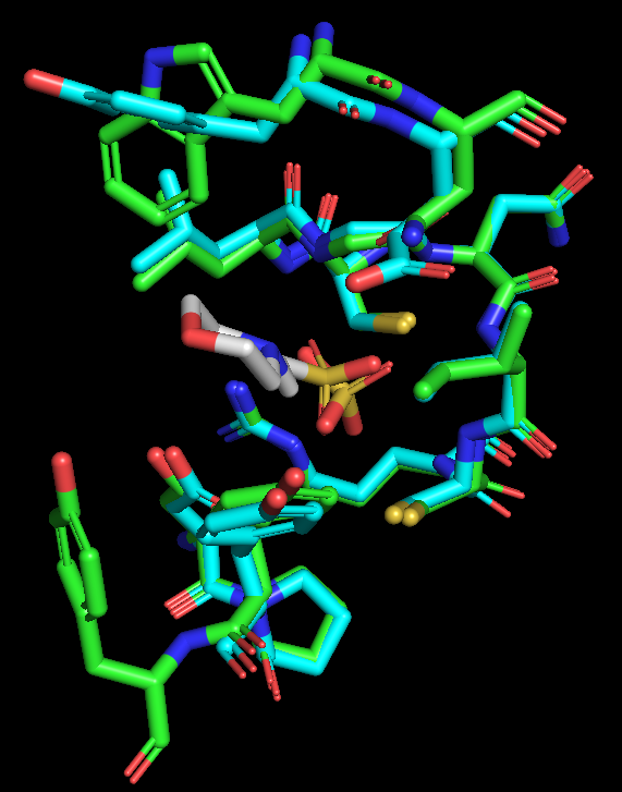 Rendering of two superimposed proteins (cpk with green carbons and cpk with cyan carbons) in the active site shown as colored sticks.