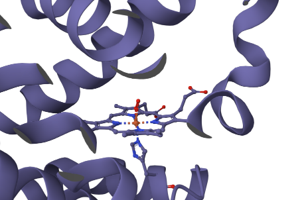 A close-up of the heme group in hemoglobin.