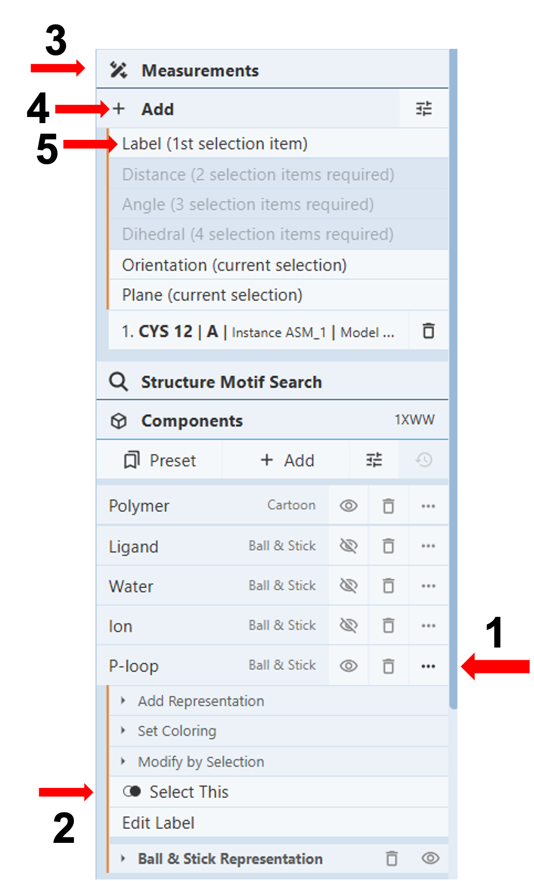 Screenshot of the measurements tool highlighting steps 1-5 for labeling the p-loop.