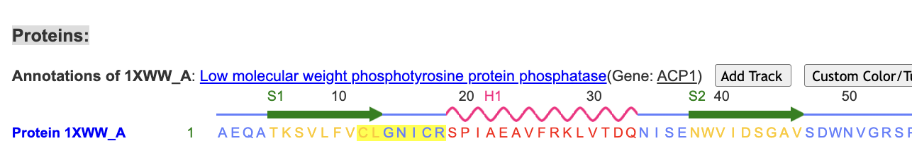 Screenshot of the protein sequence with p-loop amino acids 12-18 highlighted.