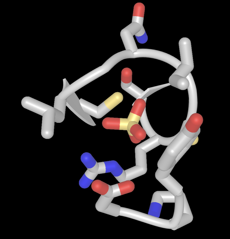 Rendering of the p-loop represented as sticks with sulfate in the center.