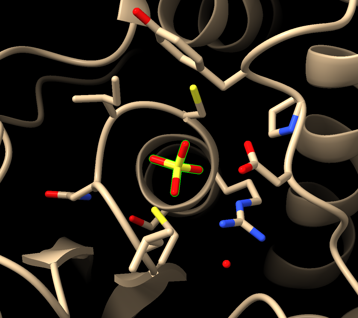 Rendering of the protein as a brown ribbon diagram with the sulfate in yellow sticks and the residues within 5 angstroms shown as sticks in cpk colors with brown carbons.