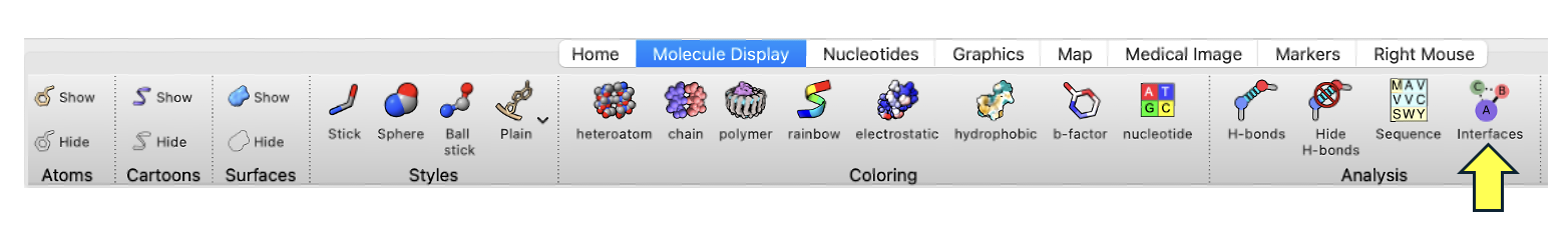 Screenshot of Molecular Display toolbar with a yellow arrow indicating the ‘interfaces’ button.