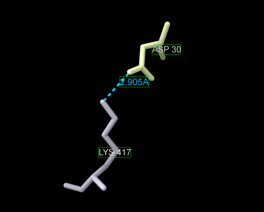 3D rendering of two amino acids structures (lysine 417 and aspartate 30) as sticks with distance (2,905 Angstroms) between two amino acids labeled in the figure (aqua blue).