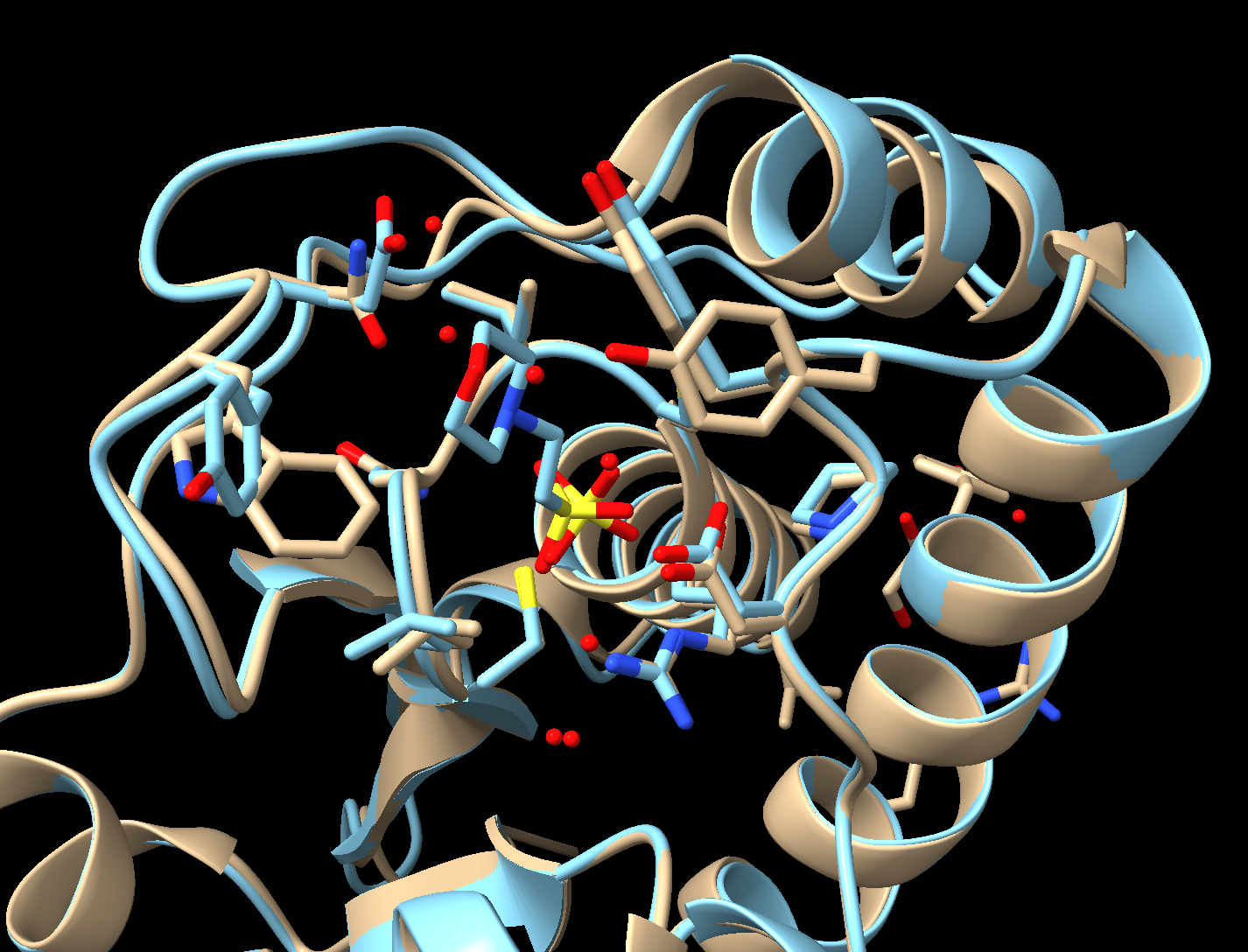 Final rendering of aligned protein structures.