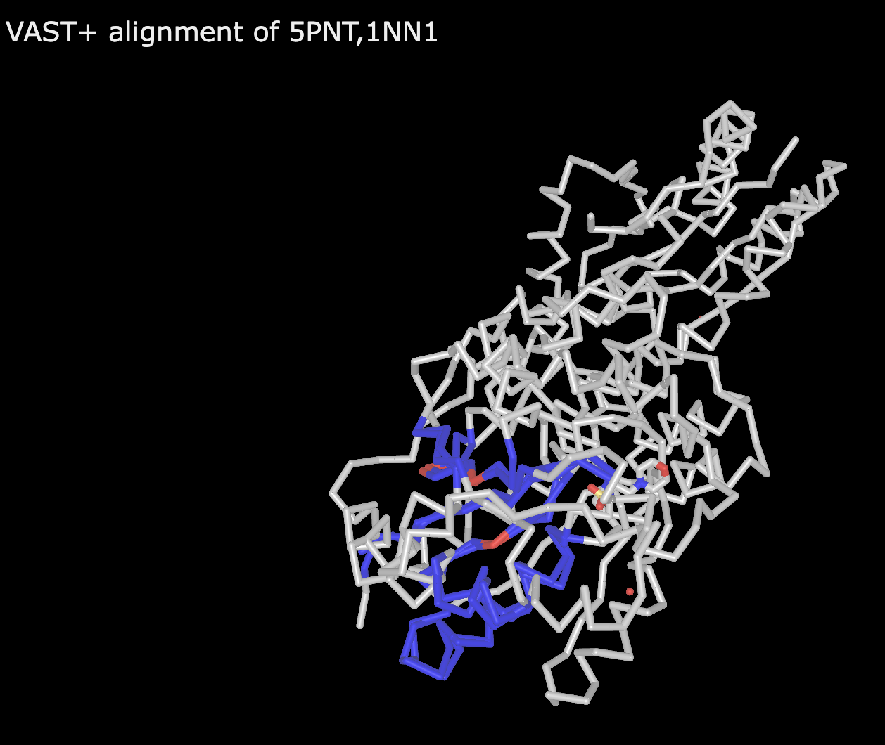 Rendering of a protein represented by alpha carbon model in gray (non-aligned), blue (aligned, nonidentical residues), and red (aligned, identical residues) .