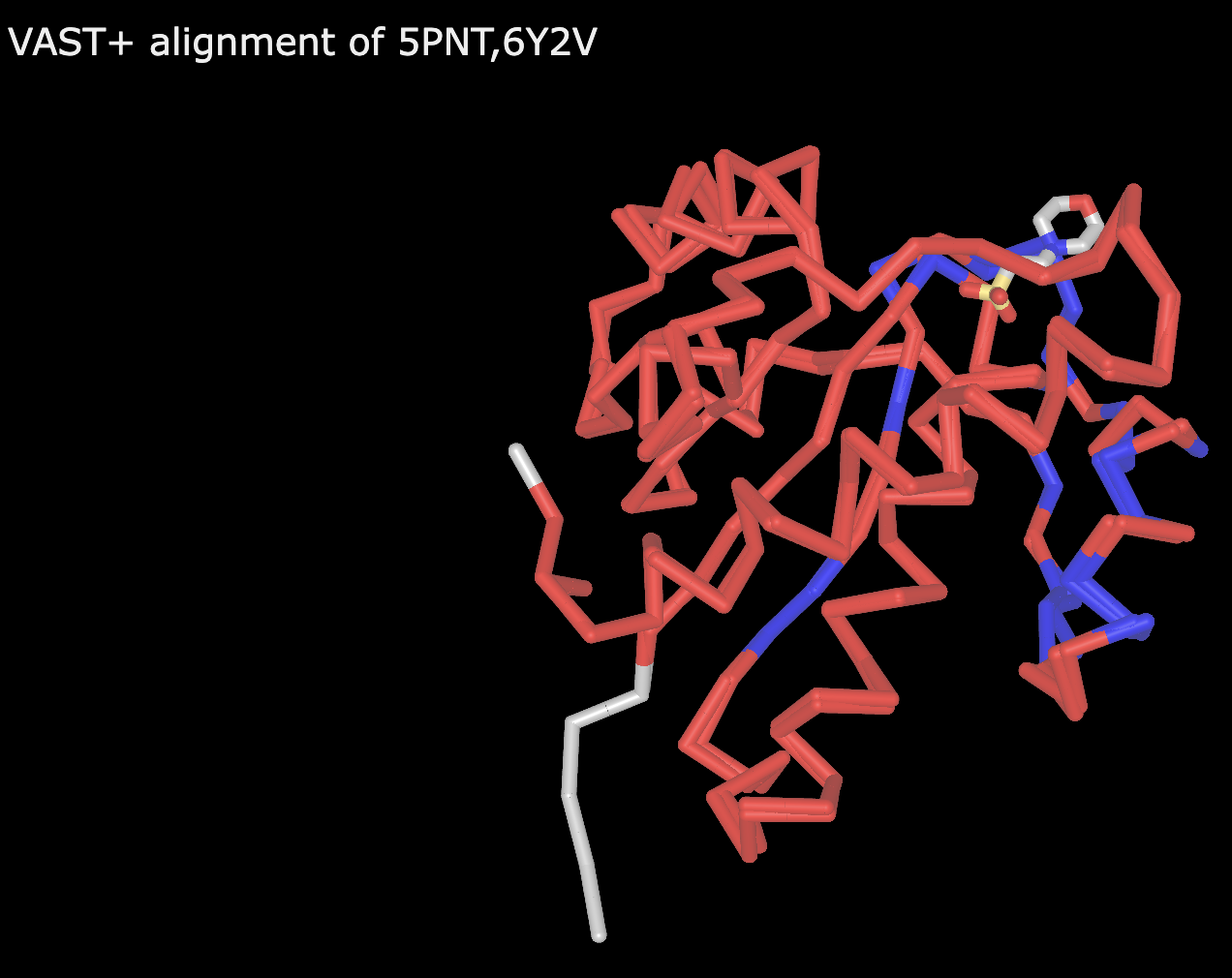 Rendering of two aligned proteins in C-alpha trace models with red representing amino acids with conserved identities, blue indicating nonconserved but aligned amino acids and grey representing non-aligned amino acids.