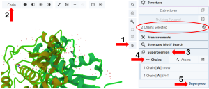 Screenshot of the superposition window with steps 1-5 labeled with red arrows and ‘chains selected’ with a red ellipse.