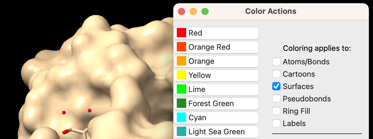 Screenshot of the Color Actions panel showing 'surfaces' checked for changing structural feature colors.