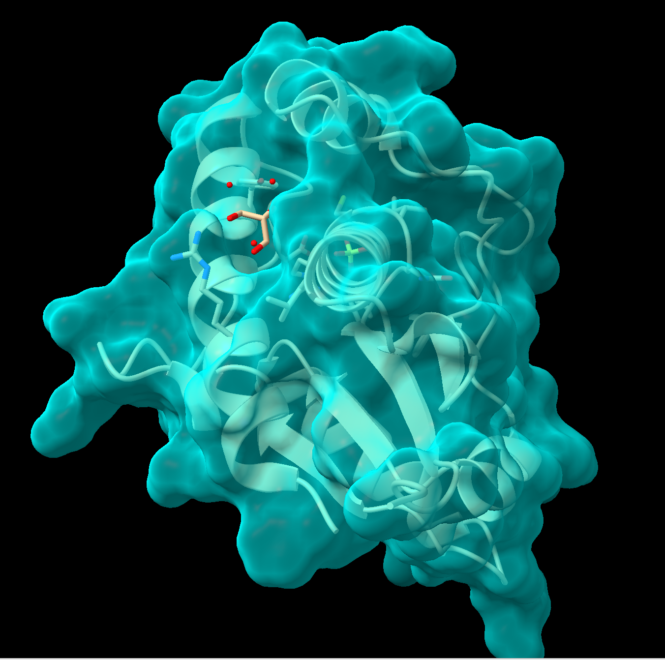A ribbon structure inside a blue-green semi-transparent surface.