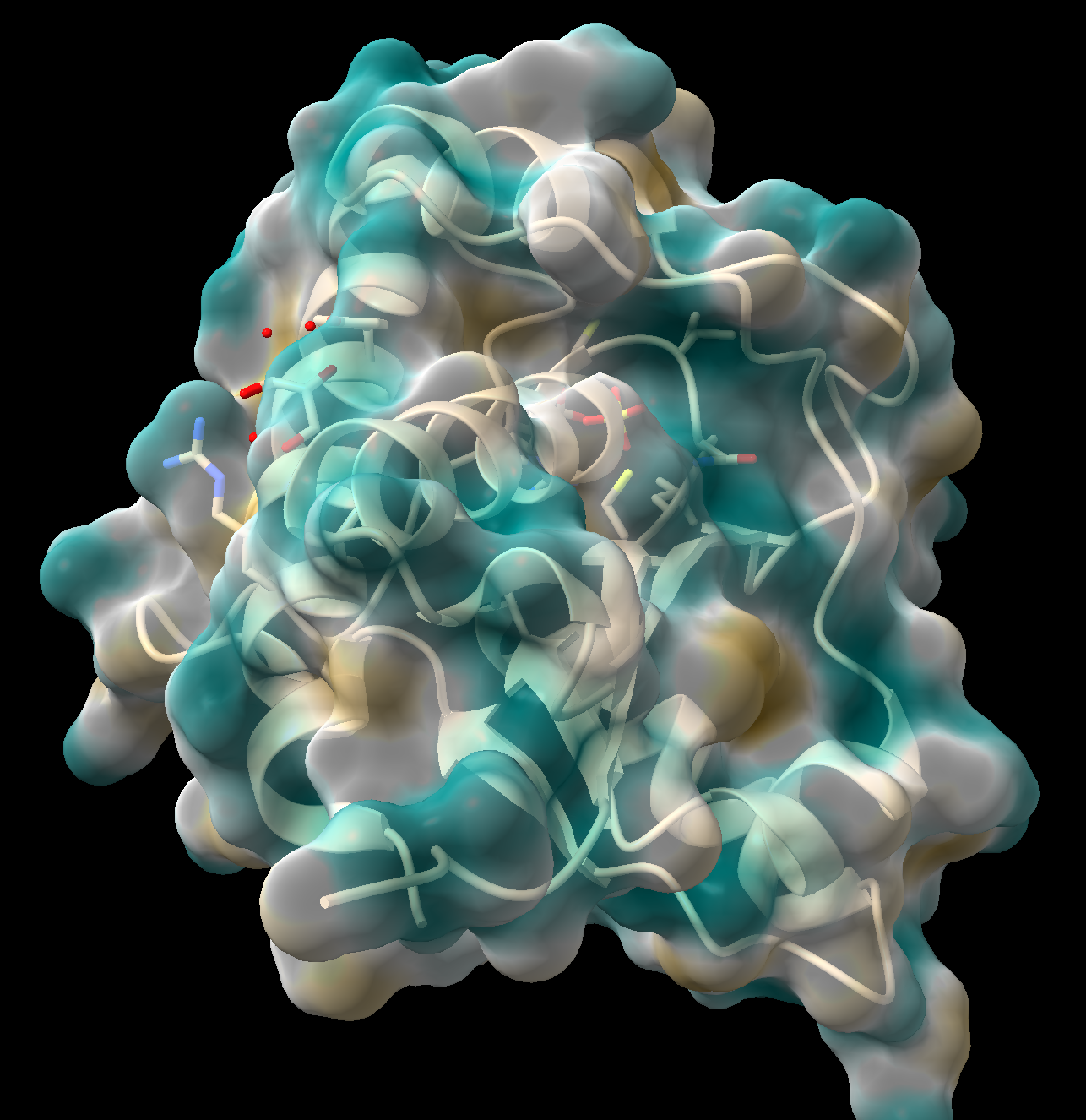 Rendering of a transparent molecular surface of a protein with dark goldenrod representing more lipophilic (more hydrophobic) and teal representing less lipophilic (more hydrophilic).