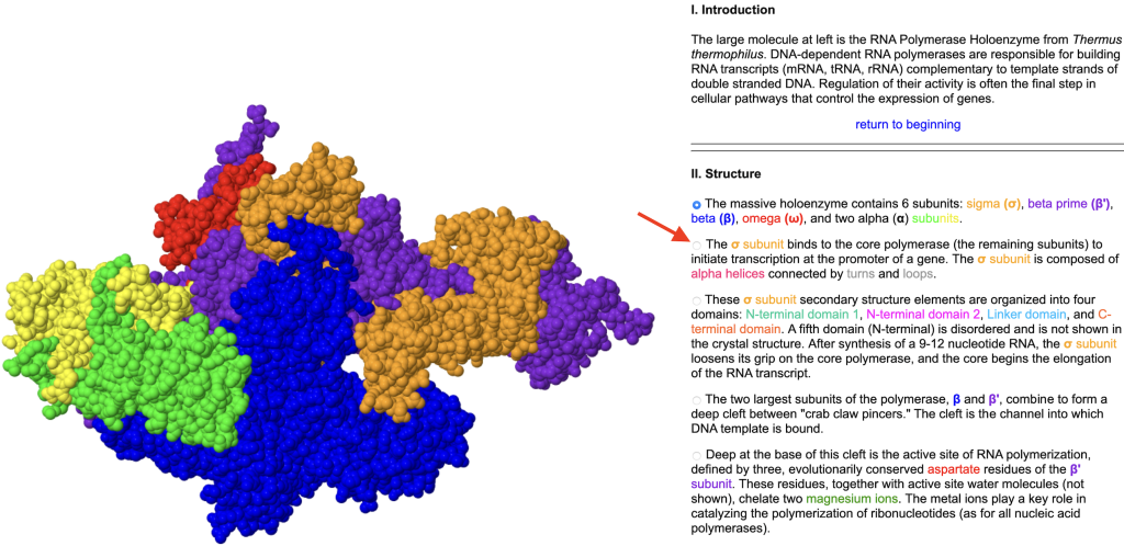 Computer screen illustrating a protein map for RNA polymerase, with red arrow indicating an example button to adjust the view.