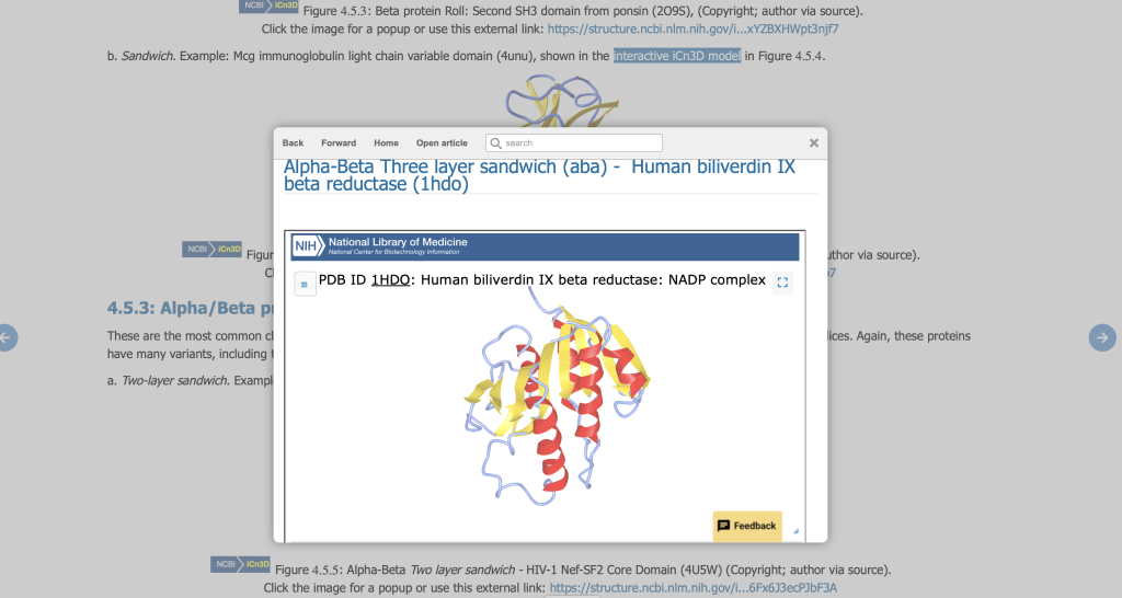 Screenshot of an interactive web page displaying a structural rendering of a protein which can by manipulated by the reader.