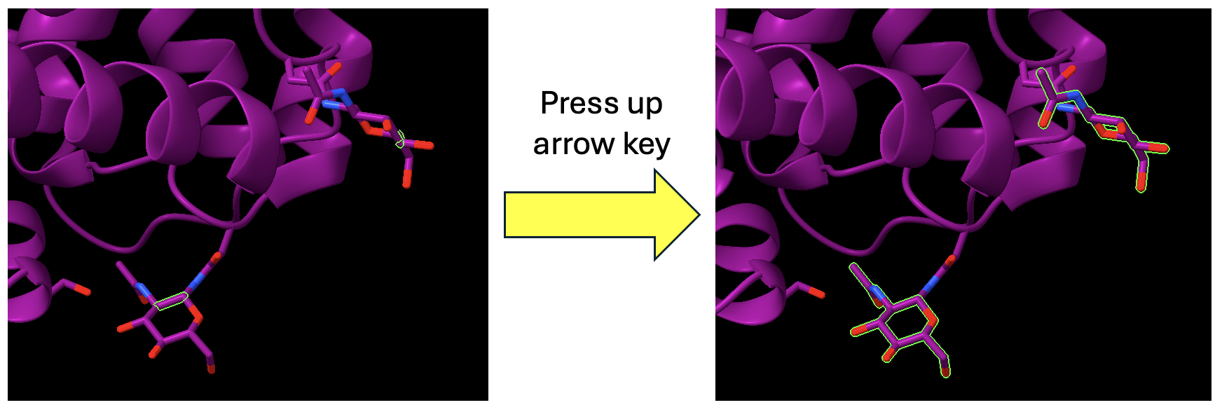 Two images of the same structure showing the selection of additional glycans in a protein after pressing the up arrow key.