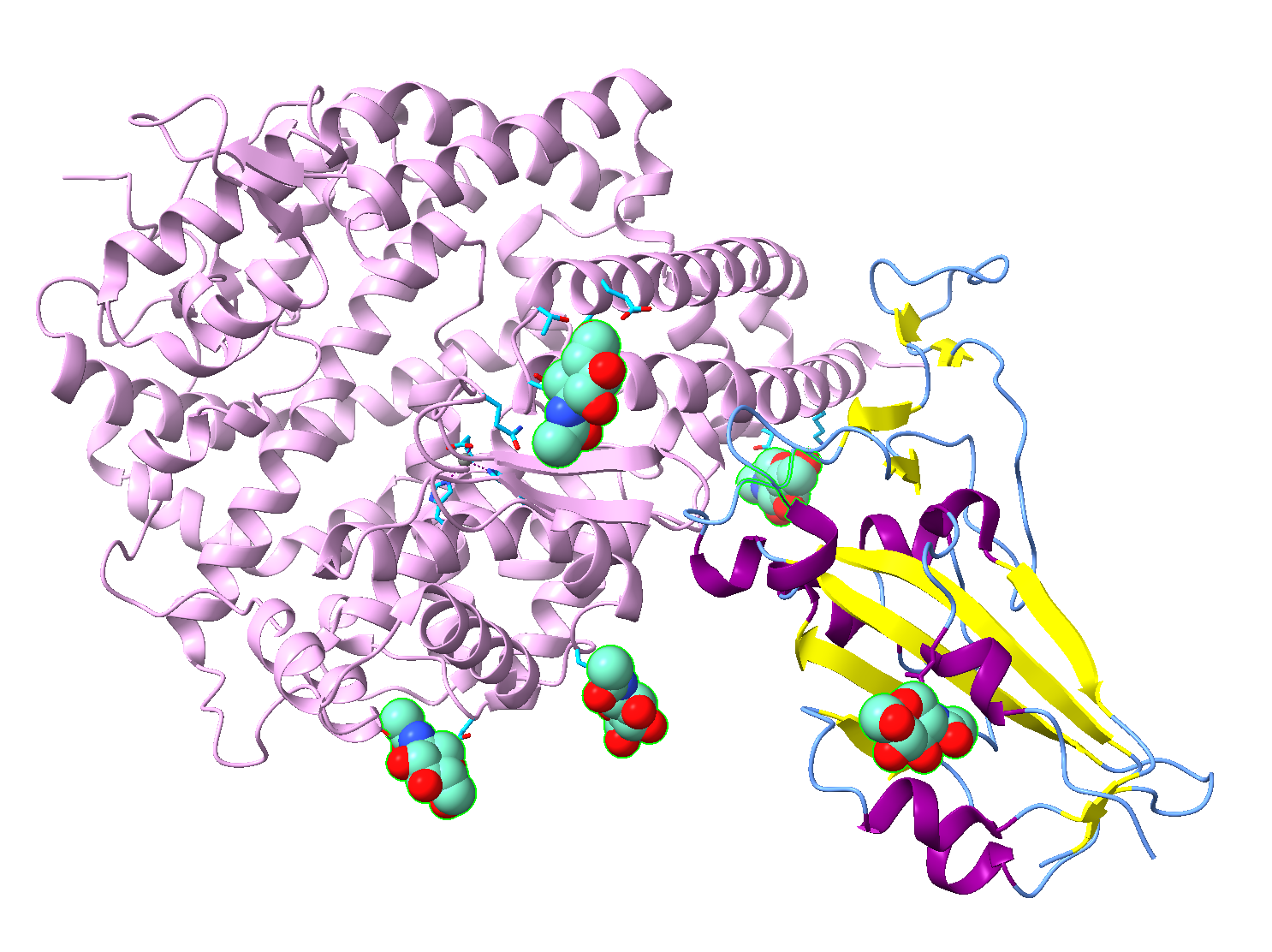 Visual representation of a protein structure, detailing its molecular components and spatial organization, which is the output of the directions listed in the chapter.