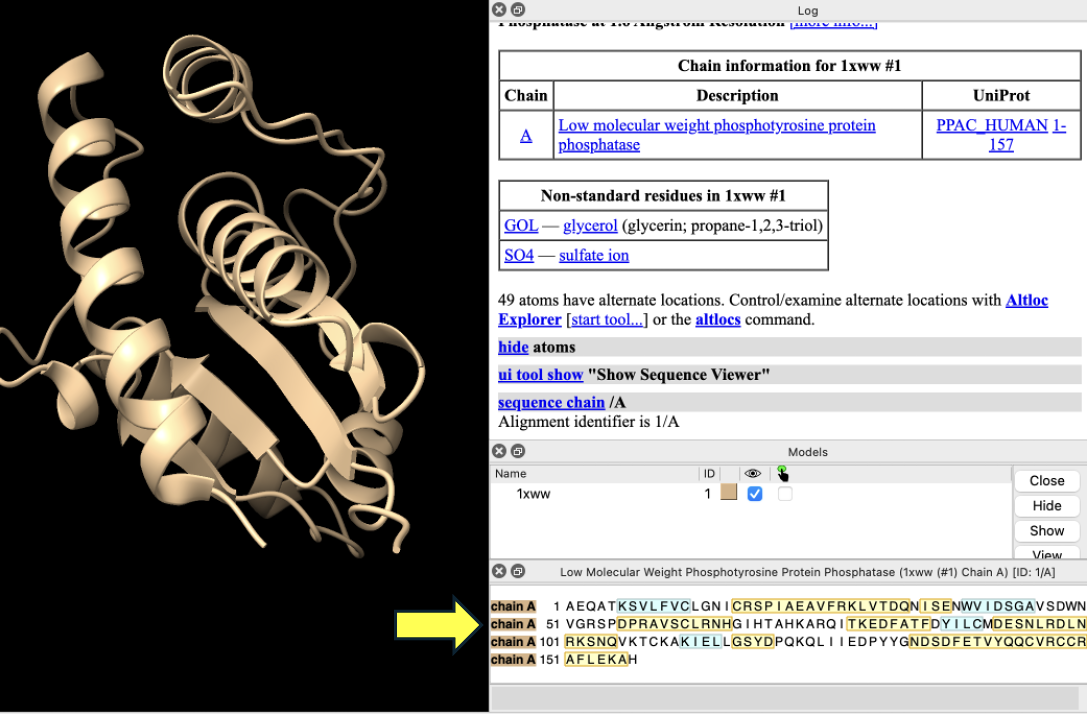 Computer screen displaying a program with a protein image and a yellow arrow pointing to the protein's amino acid sequence.