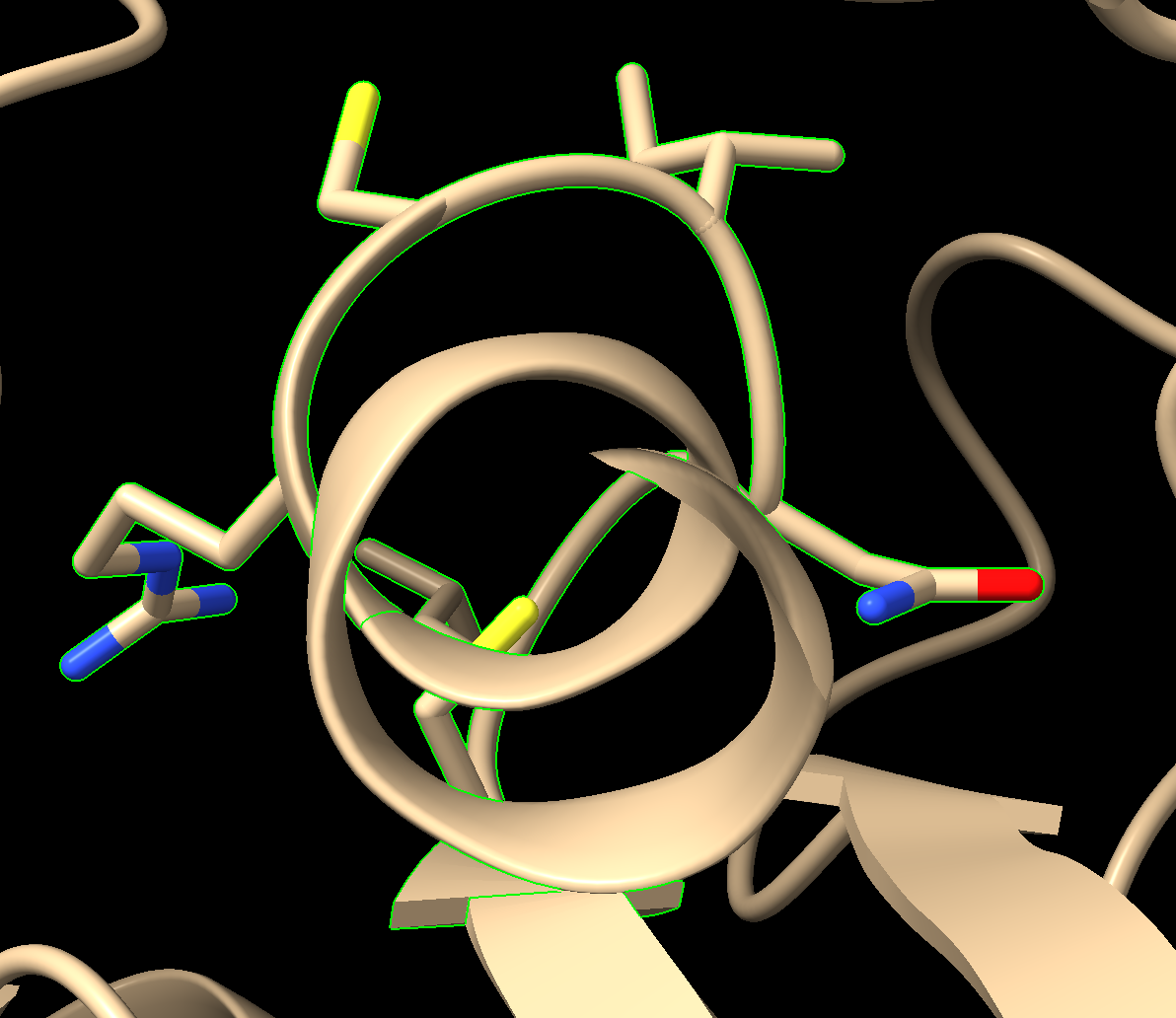 3D rendering of the output from step 7 displaying the p-loop.