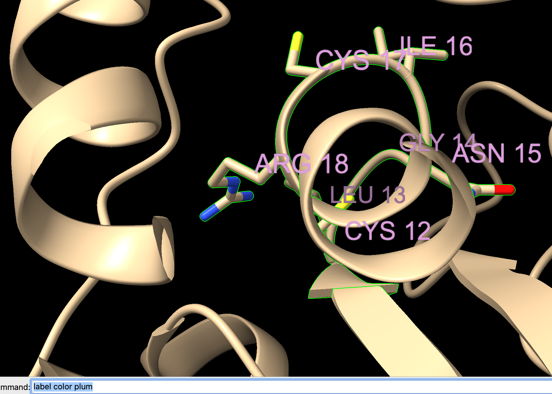 Computer screen displaying a model of a protein with resized label residues for Cys 12, Leu 13, Gly 14, Asn 15, Ile 16, Cys 17, and Arg 18.