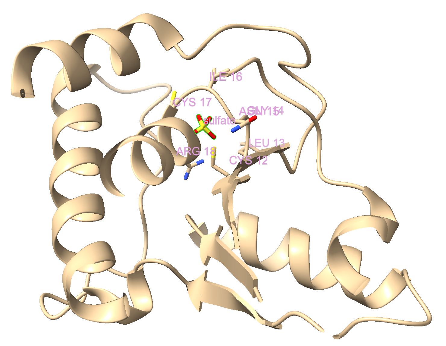 Final output for steps in this chapter showing a 3D rendering of a protein structure, showcasing its complex arrangement and molecular details, including several labeled amino acid residues.