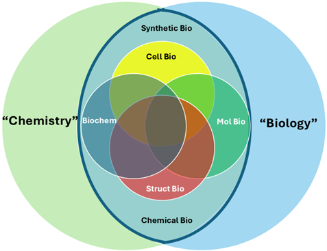 Multi-layer Venn diagram depicting the central overlap between Cell Bio (top), Struct Bio (bottom), Biochem (left), and Mol Bio (right), with outer circles labeled chemistry (far left) and biology (far right) on the edges.