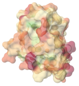 3D image of a colorful molecule on a computer screen, showcasing changing molecular surface transparency.