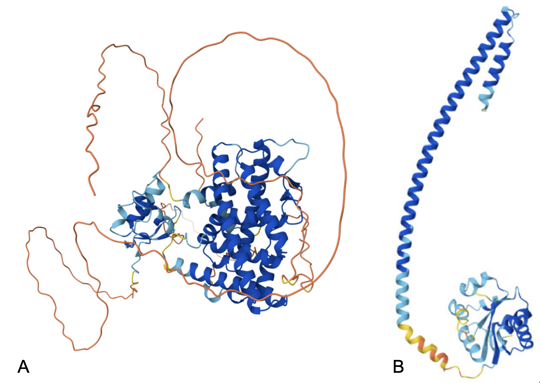 Protein structure diagram illustrating pLDDT confidence: blue for high, light blue for medium, yellow for low, orange for very low.