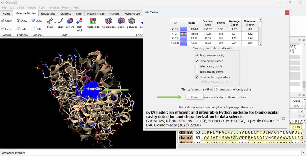 Working window in ChimeraX. The Epi-isozizaene synthase (EIZS) molecule in ribbon representation with the surface cavity of F96A mutation identified with the color blue.