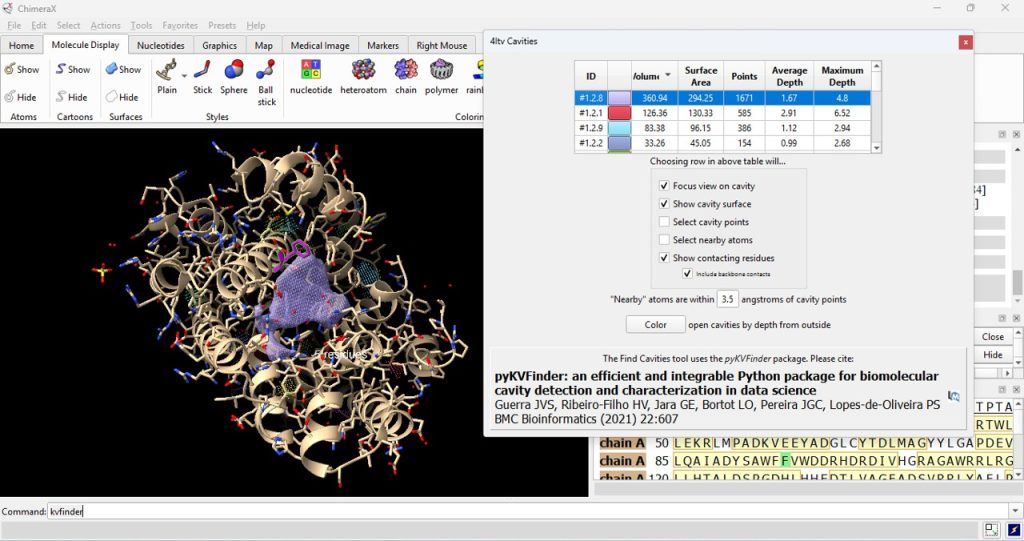 Working window of ChimeraX. The wild type Epi-isozizaene synthase (EIZS) molecule is depicted in ribbon model. The F96 side chain is highlighted in pink. A pop up window presents a cavity selection table.