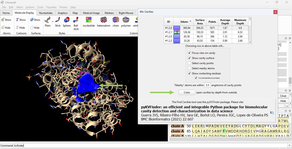 Working window of ChimeraX. The wild type Epi-isozizaene synthase (EIZS) molecule is depicted in ribbon representation. The surface cavity of F96 is represented in the color blue.
