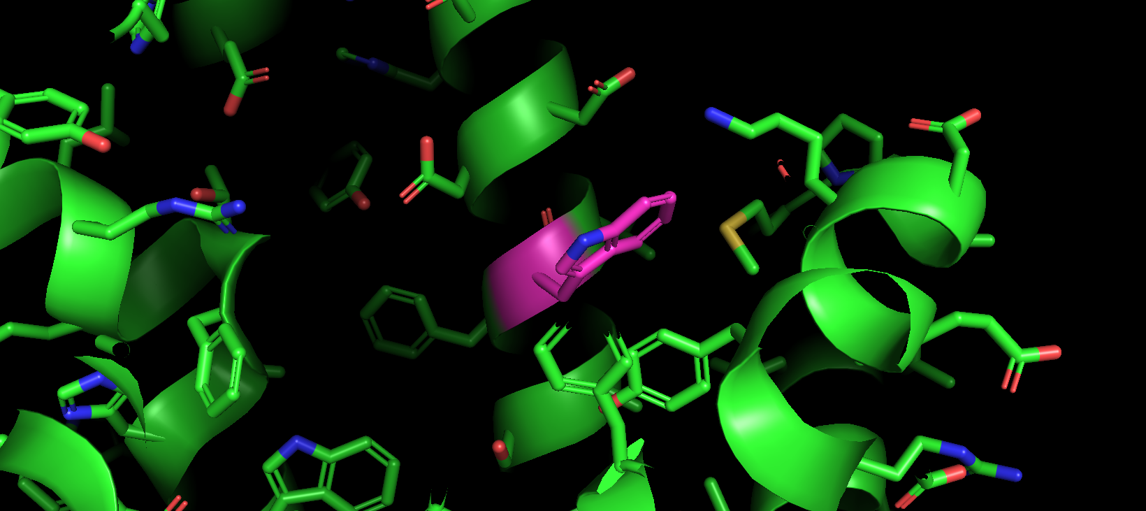 Protein shown in green ribbon with side chains in sticks with cpk coloring and green carbons. F96W is shown in magenta ribbon with side chain in sticks with cpk coloring and magenta carbons.