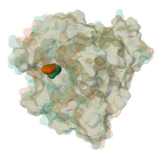 Illustration of the spacefill representations of F96 from the wildtype protein and the substituted alanine from the mutated structure inside a semitransparent molecular surface of the two proteins.