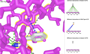 The wild type 4LTV protein is rendered as magenta wireframe, Amino acid 96 is rendered in gray CPK colors. Graphical representation of interactions in the wild type and mutant are shown in the window to the right. Caption of Figure2 describes legend for interactions.